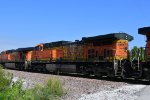 BNSF 5618 Roster shot